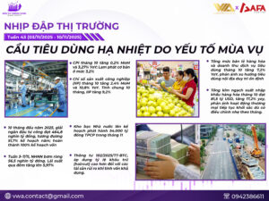 Nhịp đập thị trường tuần 43 (03/11/2025 – 10/11/2025): Cầu tiêu dùng hạ nhiệt do yếu tố mùa vụ